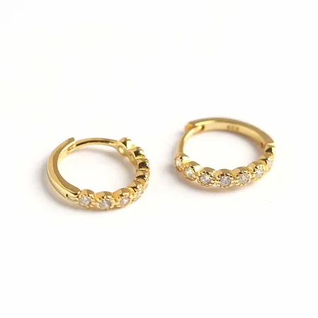 Boucles d'oreilles en...