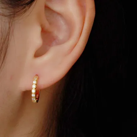 Boucles d'oreilles en...